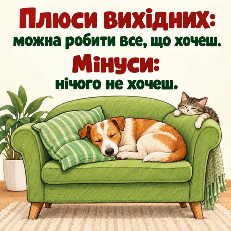 Листівка про вихідні: смішний кіт і собака на дивані