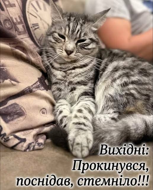 Смугастий кіт лежить на дивані з написом українською мовою про вихідні, сон та швидке настання вечора.