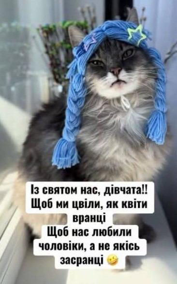 Листівка з котиком на 8 Березня — прикольне привітання