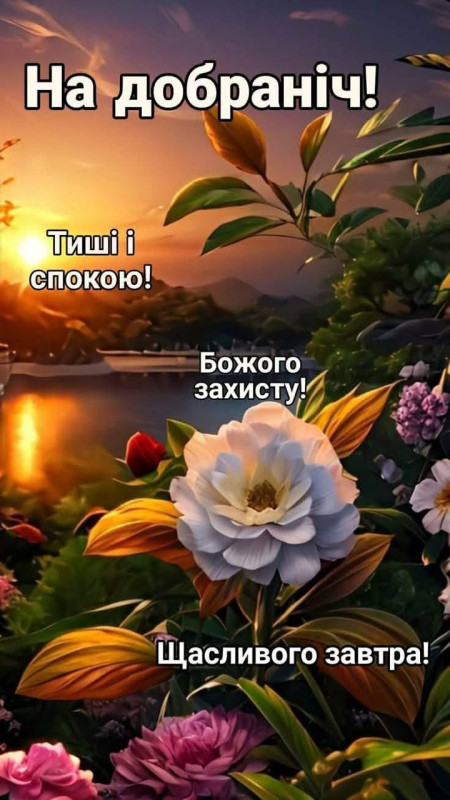 листівка з побажанням на добраніч