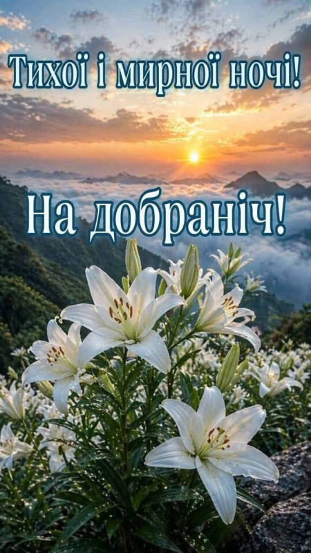 Гарна листівка з білими ліліями на фоні гірського заходу сонця з написом Тихої і мирної ночі