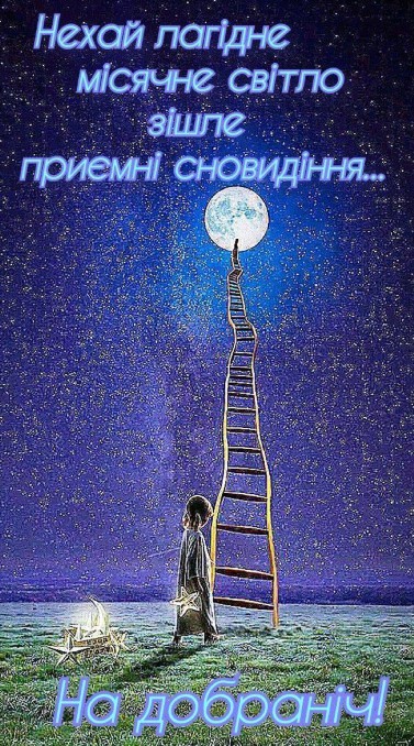 Нехай лагідне місячне світло зішле приємні сноведіння, на добраніч!