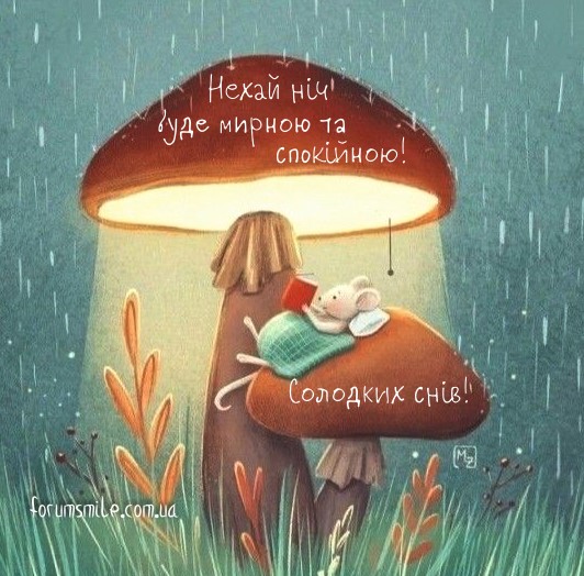 Нехай ніч буде мирною та спокійною, солодких тобі снів!
