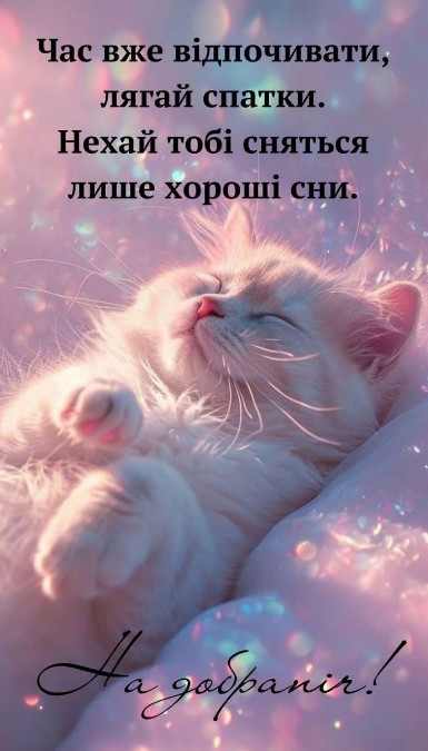 Бажаю затишної і спокійної нічки!