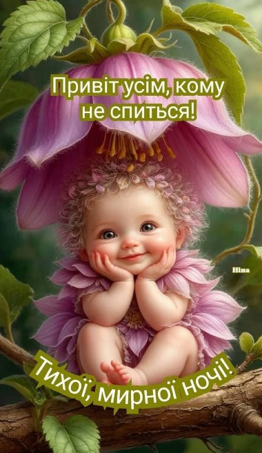 Листівка: Привіт усім, кому не спиться! Тихої, мирної ночі