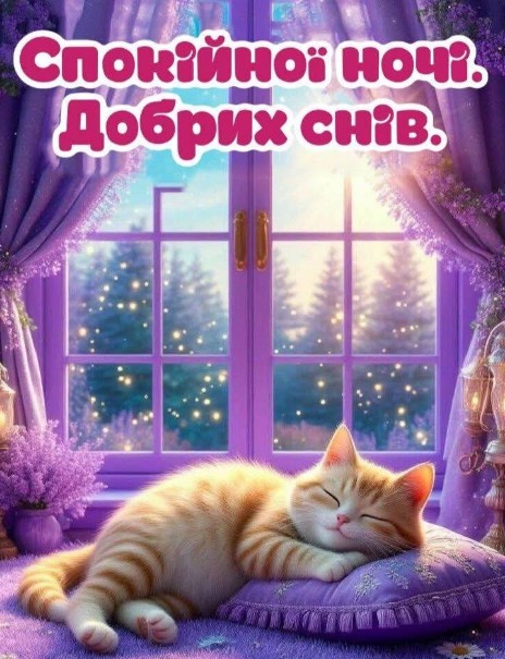 Милий рудий котик спить на фіолетовій подушці біля вікна з написом Спокійної ночі, добрих снів