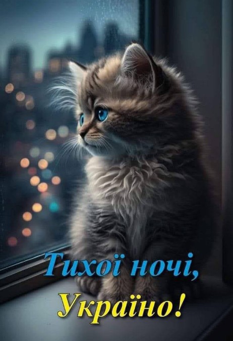 Листівка Тихої ночі, Україно! з милим кошеням