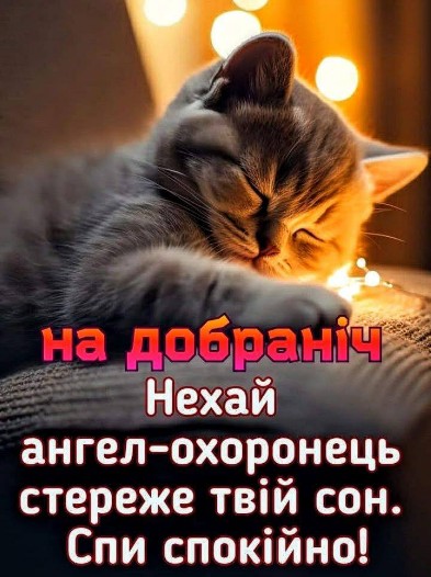 Листівка На добраніч з милим котиком — гарні побажання сну