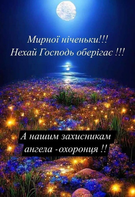 Нічний пейзаж з квітами, сяючими вогниками та повним місяцем з побажанням мирної ночі та ангела-охоронця для захисників
