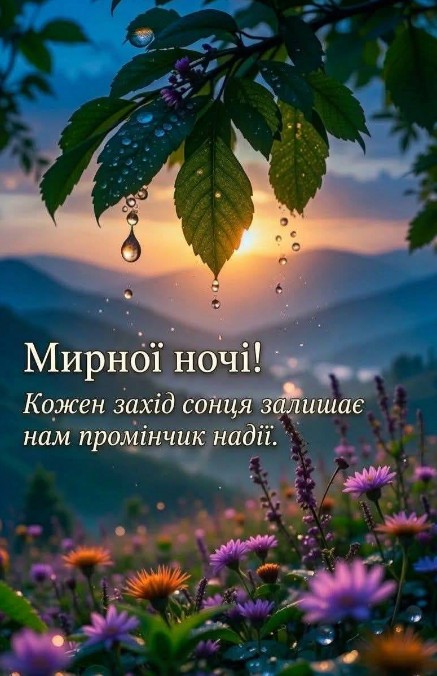 Листівка Мирної ночі: гарний захід сонця та квіти