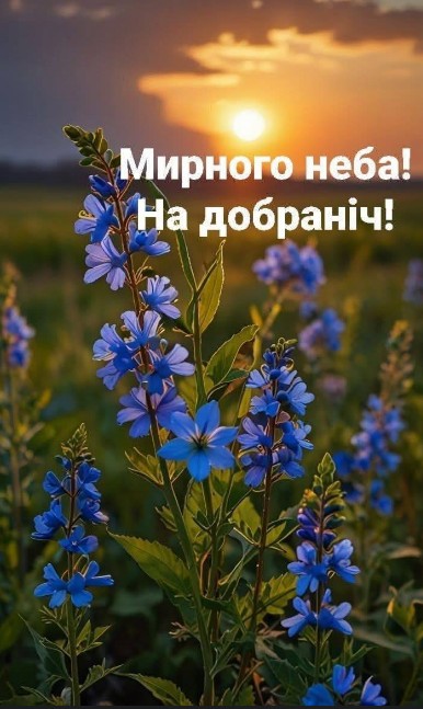 Листівка Мирного неба! На добраніч!