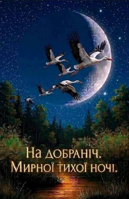 На добраніч, Мирної тихої ночі 