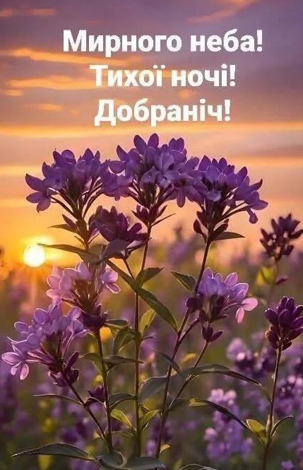 Листівка з побажанням мирного неба та доброї ночі