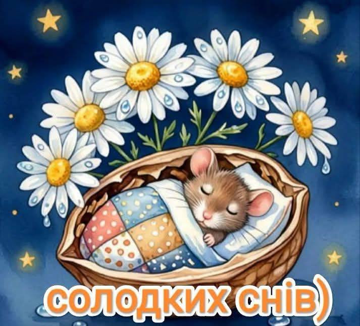 Гарні побажання солодких снів для рідних та близьких.