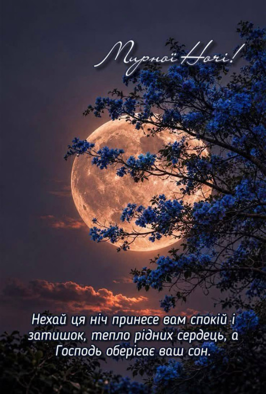 Листівка з теплими словами побажань для мирного та затишного сну.