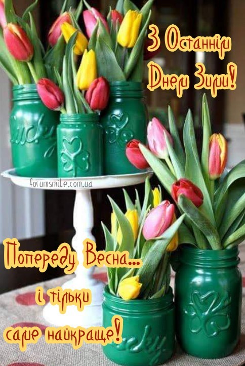 Багато баночек-горшечків з різнокольоровими тюльпанами