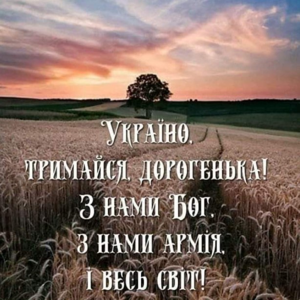 Пшеничне поле, захід сонця, в далені величезний дуб як символ незламної України