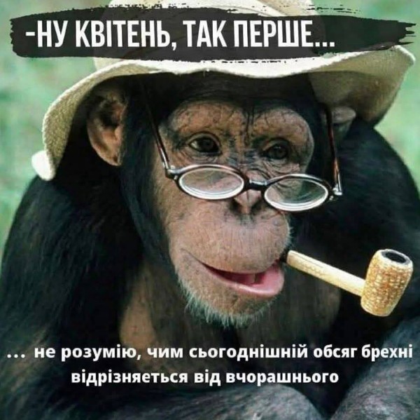 Листівка з прикольною мавпою: 1 Квітня та гумор