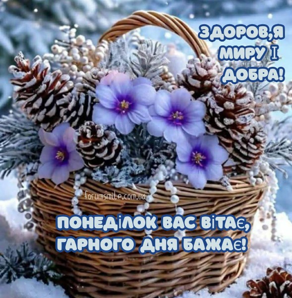 Понеділок Вас вітає і бажає гарного зимового дня!