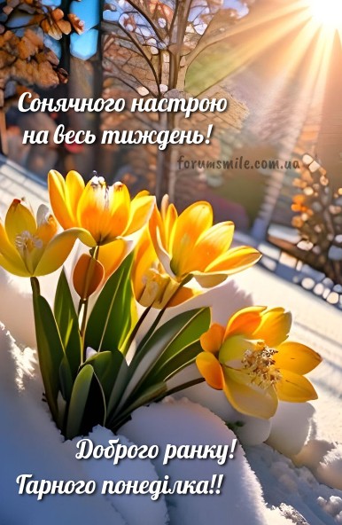 Бажаю квітучого настрою та вдалих справ, з понеділком!
