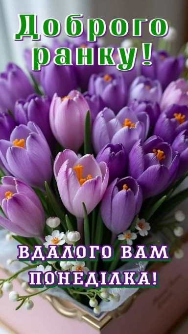 Букет ніжних фіолетових крокусів з привітанням доброго ранку та вдалого понеділка