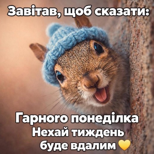 Білочка у синій в