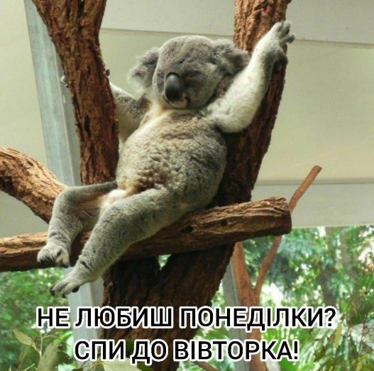 Не любиш понеділки? Спи до вівторка!