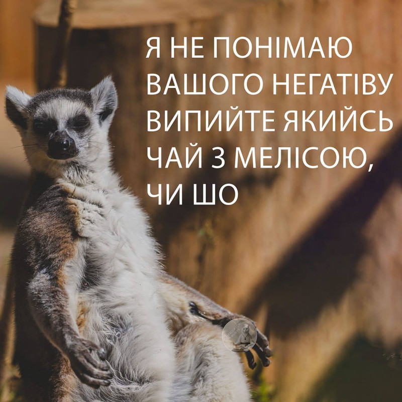 Листівка Я не розумію вашого негативу
