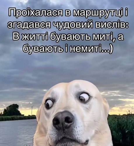 Листівка з мемом про маршрутку 