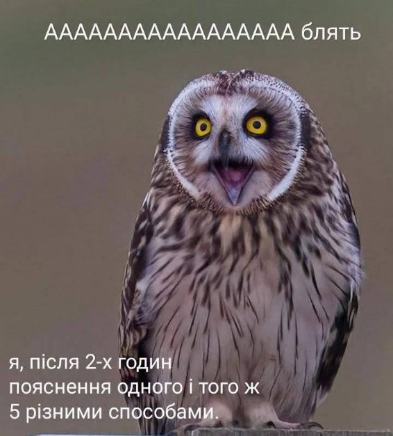 Листівка з фотографією здивованої сови з відкритим дзьобом та підписом українською мовою про втому від пояснень.