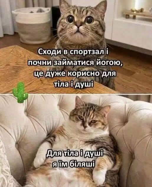 Листівка з мемом про кота: Для тіла і душі я їм біляші