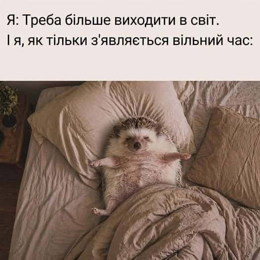Листівка з мемом про їжачка та відпочинок вдома
