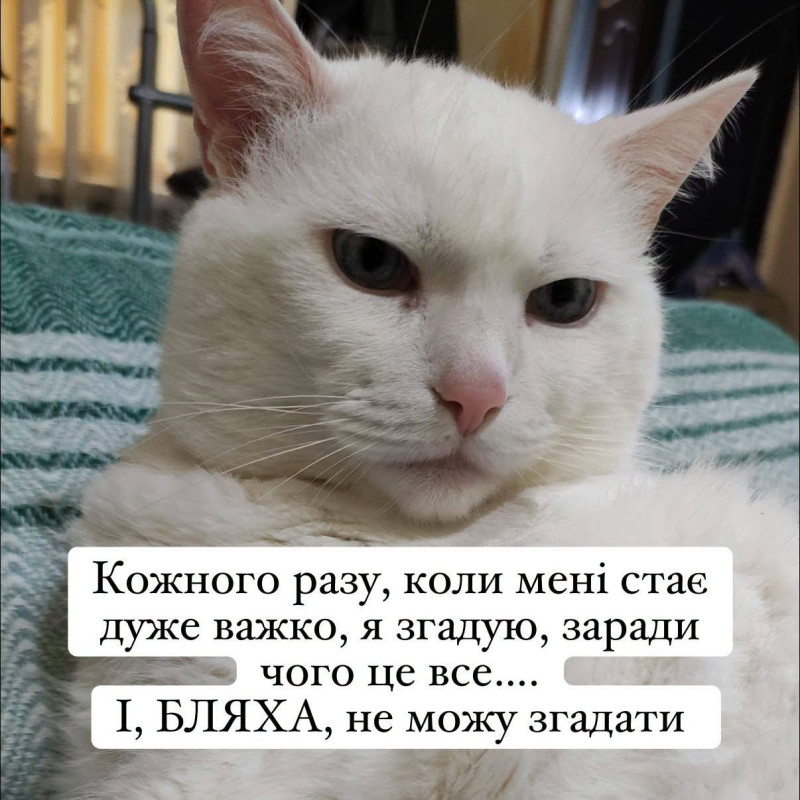 Листівка з гумористичним написом  про важкі моменти життя