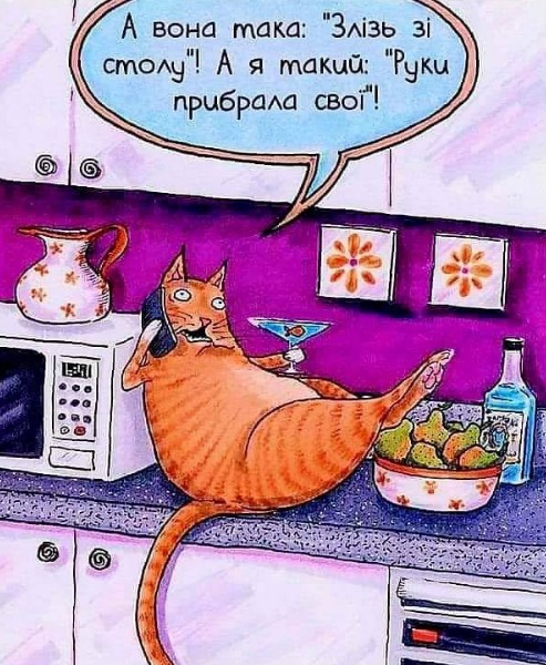 Листівка з кумедним рудим котом на кухні