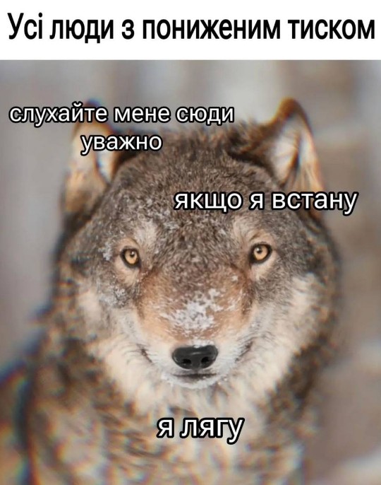 Листівка з вовком та гумором про низький тиск