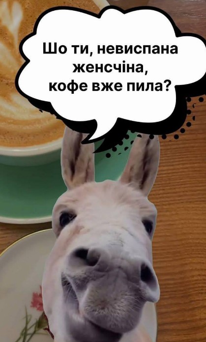 Кумедна  картинка з мордою ослика 