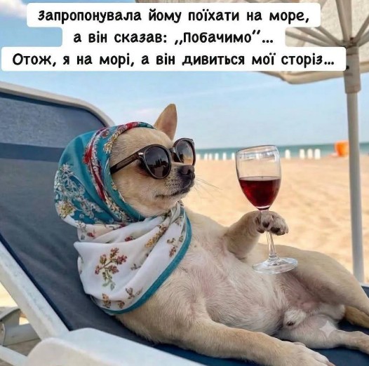 Листівка з прикольною пес на морі — жартівлива листівка