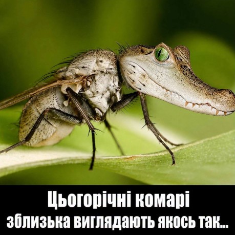 Листівка з приколом: Комар-крокодил | Смішні листівки