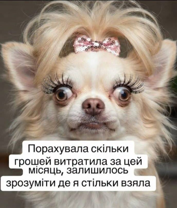 Листівка з гумором про витрати грошей