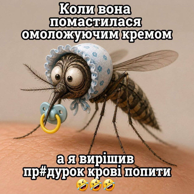 Листівка з прикольним комаром: смішна картинка для друзів