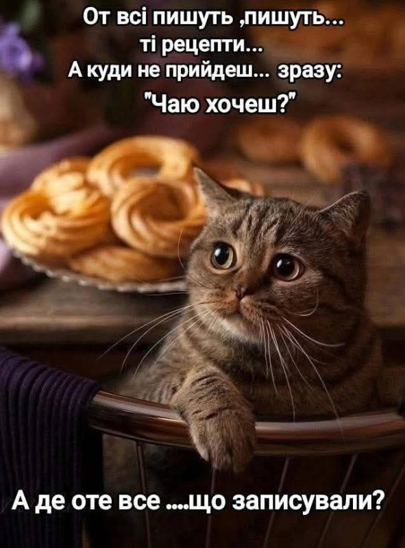 Милий пухнастий котик сидить за столом з випічкою та запитує про рецепти