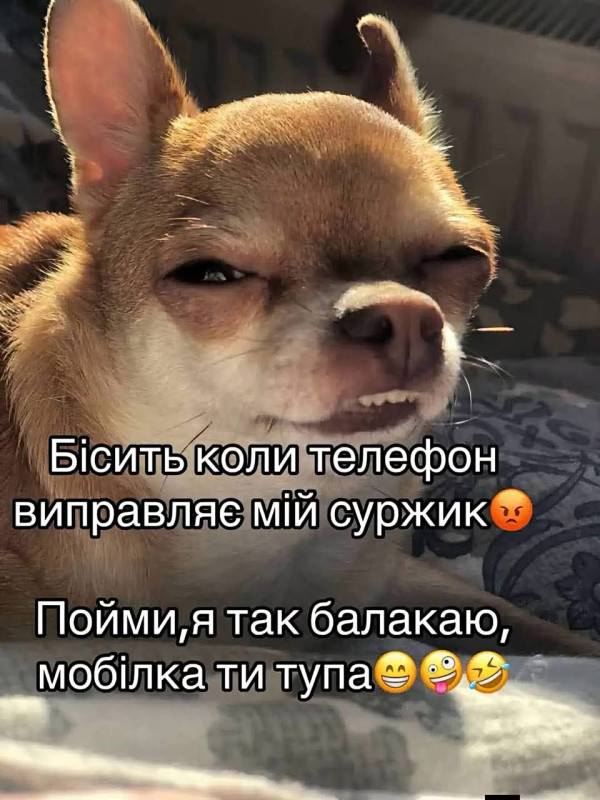 Листівка з мемом про суржик 