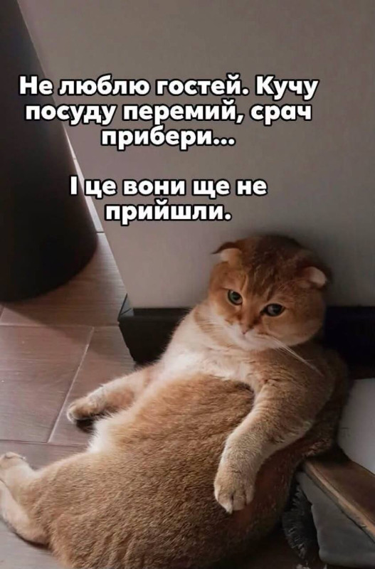 Не люблю гостей — кумедна листівка