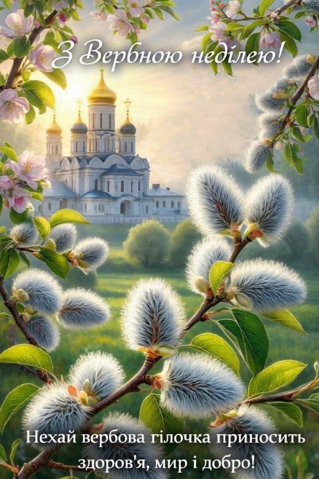 Листівка з Вербною неділею: красиве привітання з вербою