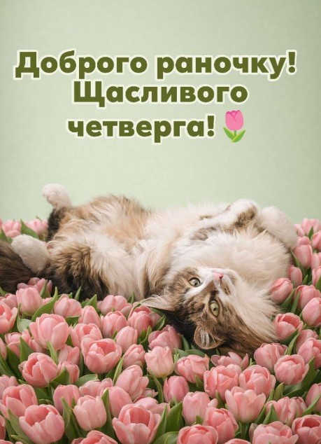 Листівка Доброго ранку та щасливого четверга з котиком
