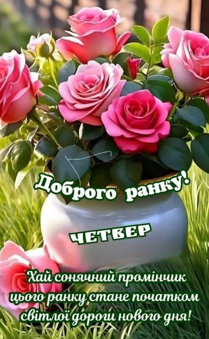 Листівка Доброго ранку у четвер з рожевими трояндами