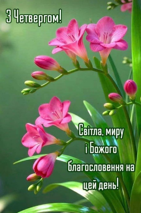 Листівка З Четвергом: красиві квіти та побажання миру