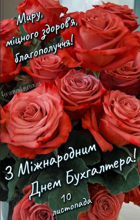 Картинка з красивими трояндами на Міжнародний День Бухгалтера, 10 листопада