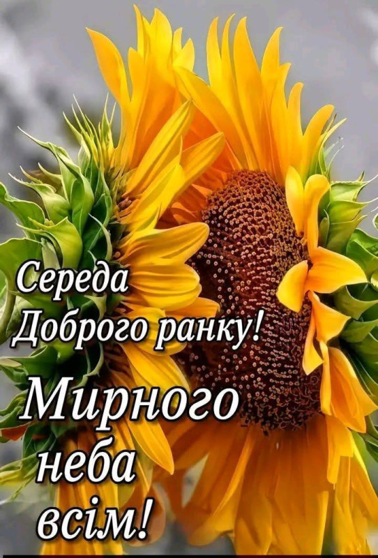 Листівка з добрим ранком: середа, соняшники та мирне небо