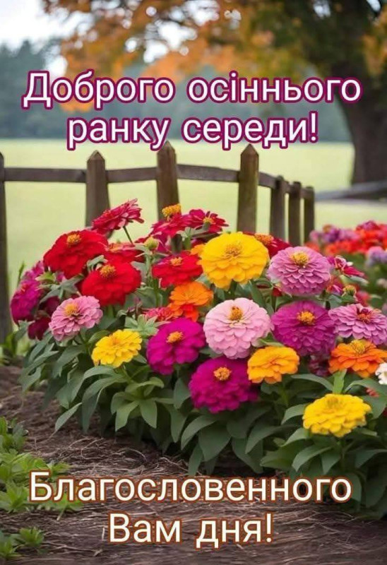 Листівка Доброго осіннього ранку середи - красиві квіти